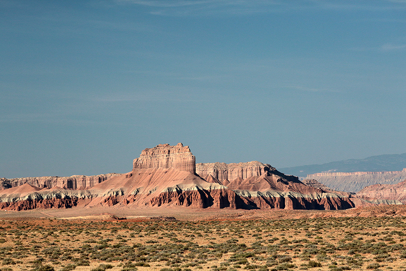 Bison : Antelope Island : Utah : Landscape Photos : Richard Moore : Photographer